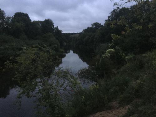 an aerial view of a river in a forest at Utriai Guest Place in Utriai