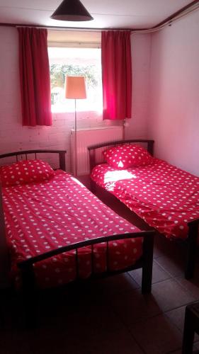 1 Schlafzimmer mit 2 Betten mit roter Bettwäsche und einem Fenster in der Unterkunft de Mielgong in Boazum