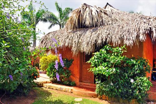 a small hut with a thatch roof and flowers at Solazul in Las Galeras