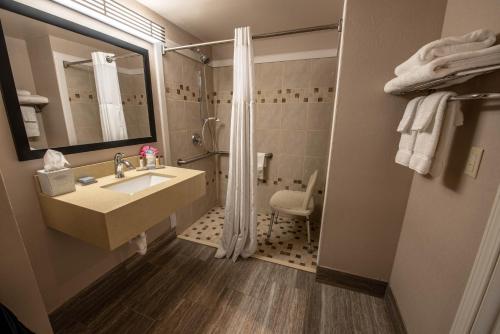 a bathroom with a sink and a shower at Wingate by Wyndham Indianapolis Airport Plainfield in Plainfield