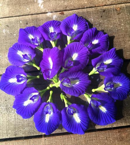 a bunch of purple flowers sitting on a table at Tong He Ren Jia Homestay in Qigu