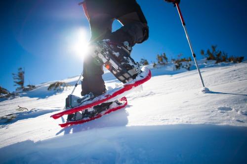 a person on skis on a snow covered slope at Adventure Senja in Skrollsvika