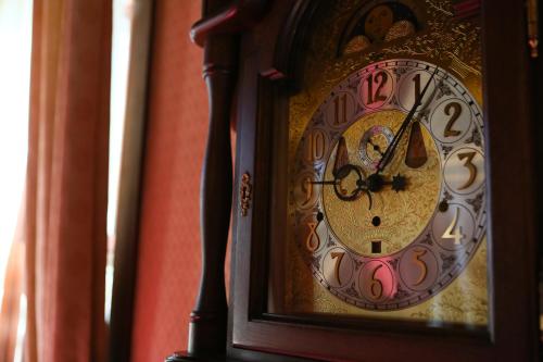 a close up of a grandfather clock on a wall at Nara Hotel in Nara
