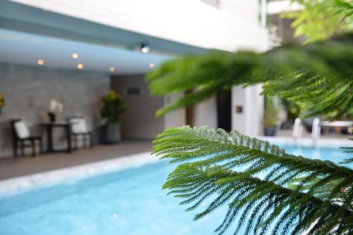 a view of a swimming pool with a palm tree at Aspira Tropical Residence Thong Lor in Bangkok