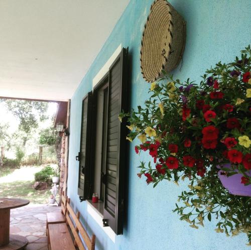 a blue wall with two windows and a plant with red flowers at Agriturismo Pranu in Sorgono