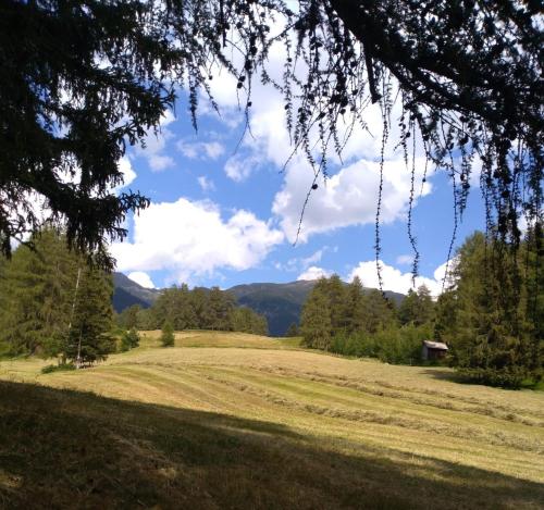 a view of a field with mountains in the background at Apart Waldegger in Nauders
