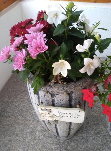 a pot of flowers sitting on the ground at Apart Waldegger in Nauders