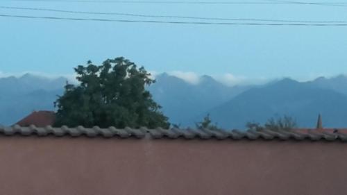 a tree behind a roof with mountains in the background at Casa Suzy & Roxy in Arpaşu de Jos