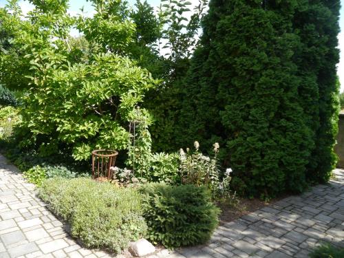 a garden with green bushes and a brick path at Ferienwohnung im Neubauernweg 3 in Hoppegarten