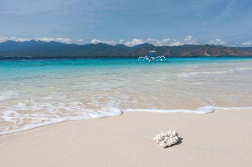 Landskap semula jadi dekat dengan hotel