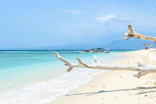 Landskap semula jadi dekat dengan hotel