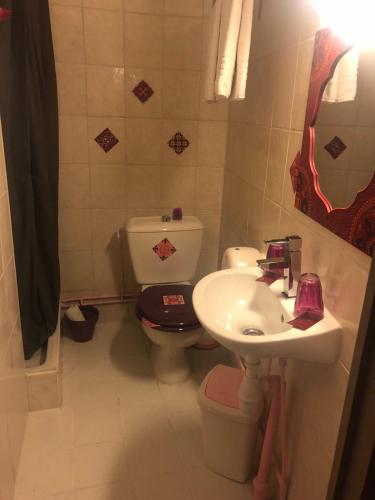 a bathroom with a toilet and a sink at Hôtel restaurant le delta in Saintes-Maries-de-la-Mer