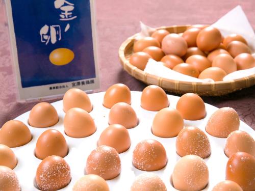 Billede fra billedgalleriet på Matsukaze i Toyota