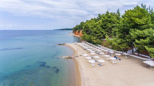 a beach with a bunch of chairs and umbrellas at Porfi Beach Hotel in Nikiti