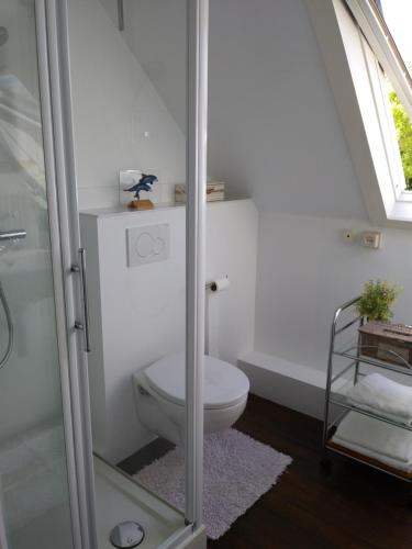 a white bathroom with a toilet and a shower at Albatros in Koksijde