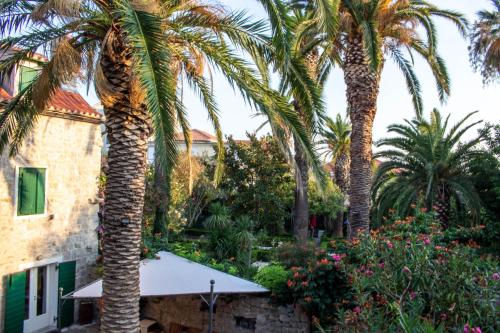 a view of a garden with palm trees and flowers at Villa Cindro House in Podstrana