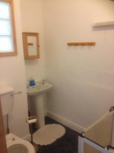 a bathroom with a white toilet and a sink at Causeway Coast Independent Hostel in Portstewart