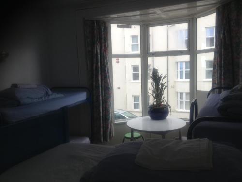 a bedroom with a window with a plant on a table at Causeway Coast Independent Hostel in Portstewart