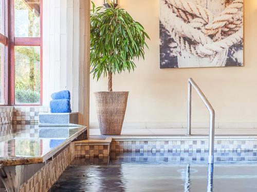 a bathroom with a tub with a potted plant at Kloofzicht Lodge & Spa in Muldersdrift