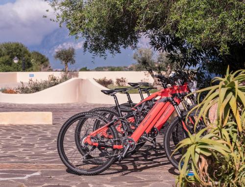 Vélo sur le terrain de l'établissement Hotel Ollastu ou dans les environs