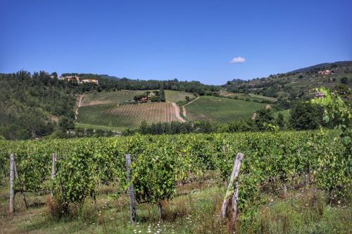 Paisaje cerca de este apartamento