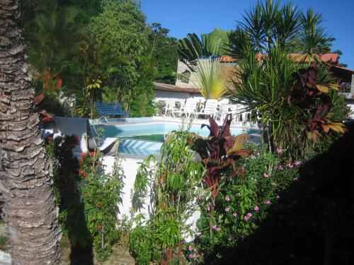 a garden with a swimming pool and some plants at Pousada Ancora in Vera Cruz de Itaparica