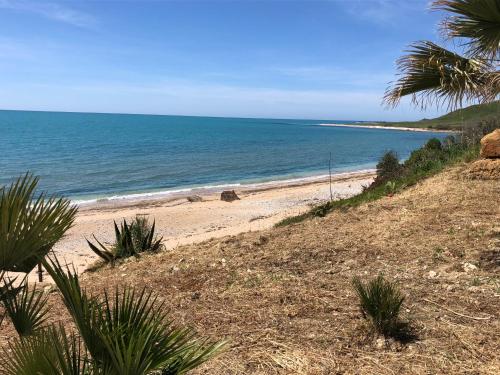 a beach with palm trees and the ocean at Villa Sciacca Lumia LUNA in Sciacca