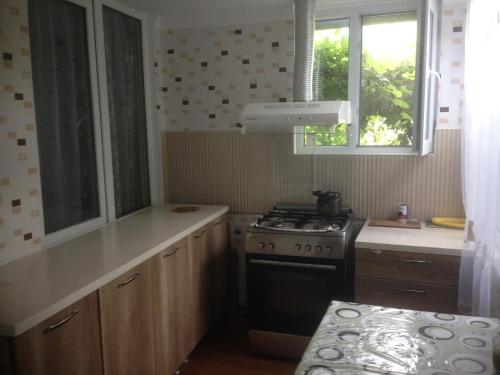 eine kleine Küche mit einem Herd und einem Fenster in der Unterkunft Gorgadze Apartment in Bordschomi