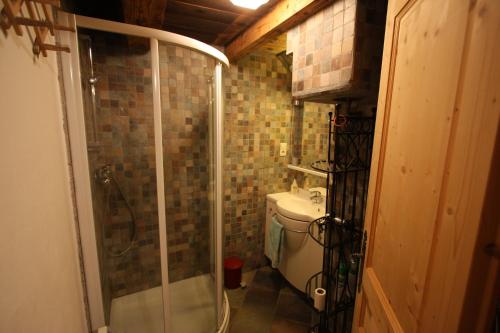 a small bathroom with a shower and a toilet at Chalet Marion in Montriond