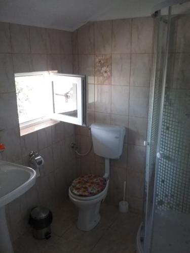 ein Badezimmer mit einem WC mit einer Pizza auf dem Sitz in der Unterkunft Pensiunea Magura in Baia de Fier