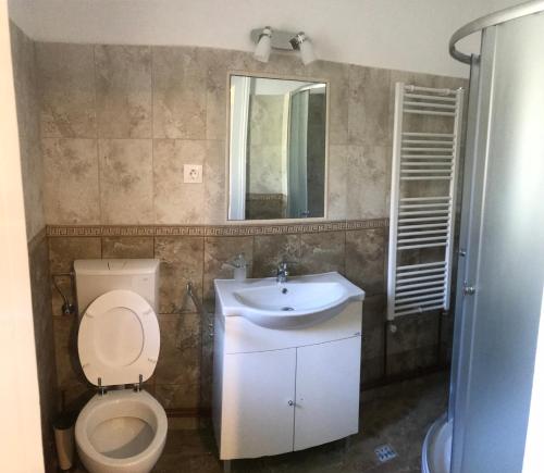 een badkamer met een toilet, een wastafel en een spiegel bij Casa TRANSILVANIA in Oradea