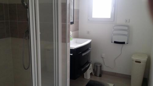 a small bathroom with a sink and a shower at Gite du patureau in Belleray