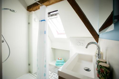 a bathroom with a sink and a shower at Aan de Dieze in Den Bosch