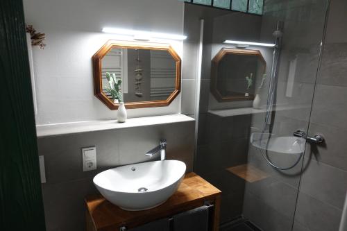 a bathroom with a sink and a mirror and a shower at Ver-Reiss-t in Korlingen