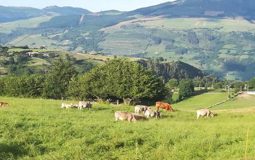 a herd of cows grazing in a field of grass at Casa Rural La Rasilla in Castillo-Pedroso