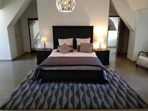 Postel nebo postele na pokoji v ubytování Château de St Alyre