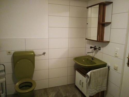 a bathroom with a green toilet and a sink at Ferienhaus Herrnbauer in Zaglau