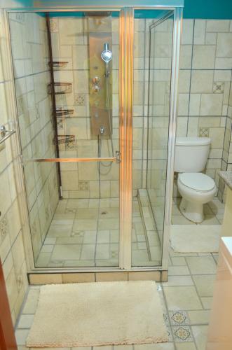 a shower in a bathroom with a toilet at Paradise Place Apartments in Mount Irvine