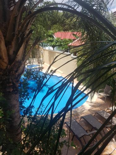 a palm tree and a swimming pool with a palm tree at Casa Malia Guapinol #8 in Tamarindo