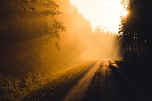 a foggy road with the sun in the background at Visit Hautakylä in Hautakylä