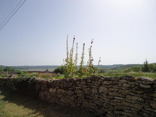 a stone wall with plants growing out of it at Le Piano in Flavigny-sur-Ozerain