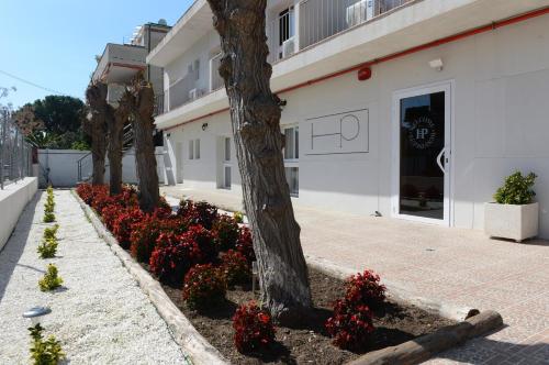 un edificio con flores rojas frente a un edificio en Costa HP en Castelldefels