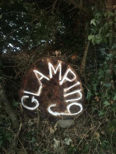 Carrigeen Glamping في كيلكيني: صخرة مكتوب عليها في العشب