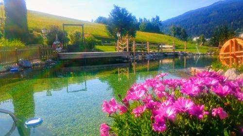 a pool of water with pink flowers in the foreground at Ferienhotel Gewürzmühle in Radstadt