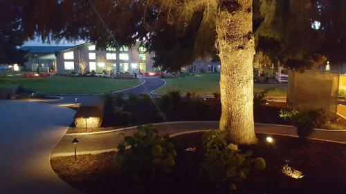 a palm tree in front of a building at night at Ramada by Wyndham Spokane Airport in Spokane