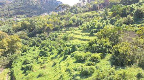 Nomads Nature & Nurture – Photos 3