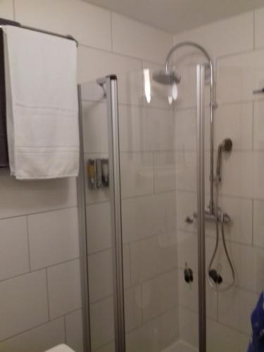 a bathroom with a shower with a glass door at Ferienwohnung Wiesmühlstrasse in Henndorf am Wallersee