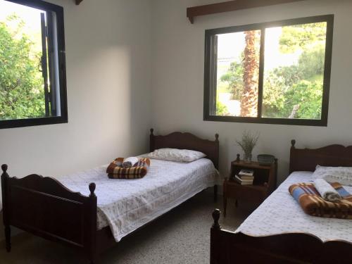 two beds in a room with two windows at Apartment with stunning sea view in Pachyammos