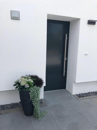 Gambar di galeri bagi Sinsheim Unterkunft di Sinsheim