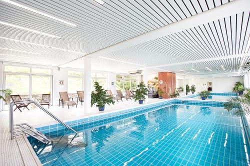 Bazén v ubytování Hotel Diana nebo v jeho okolí